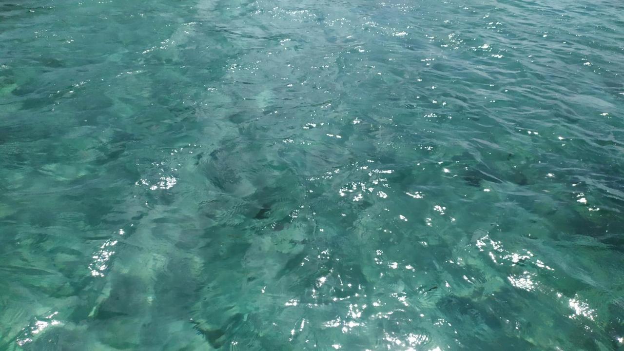 فندق A L'Arche Bleue لو روبرت المظهر الخارجي الصورة